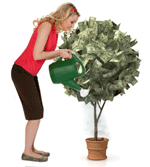 moneytree