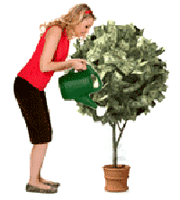 Grow Your Gift Business